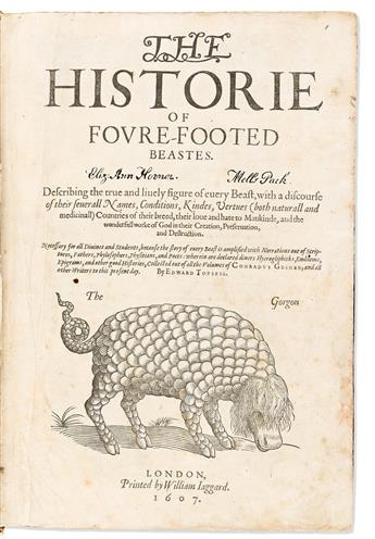 Topsell, Edward (1572-1625) The Historie of Foure-Footed Beastes.